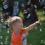 DSC_0310 DSC_0310