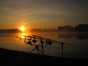 pescado